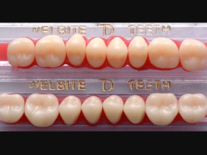Teeth Full Set U/L - Welbite