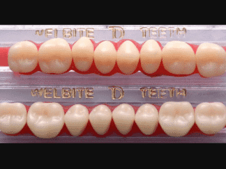 Teeth Full Set U/L - Welbite