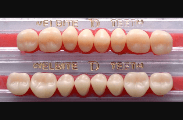 Teeth Full Set U/L - Welbite