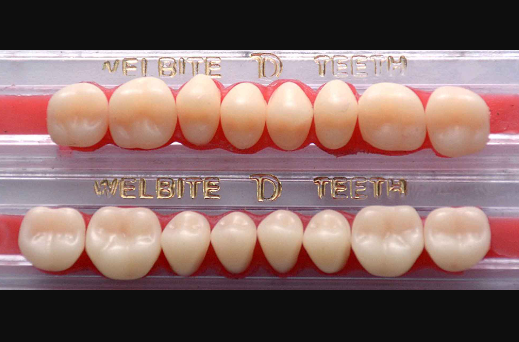 Teeth Full Set U/L - Welbite