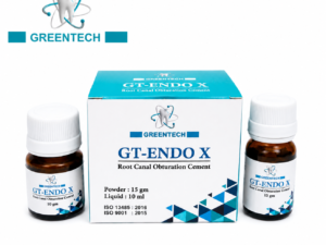 GT-ENDO X
