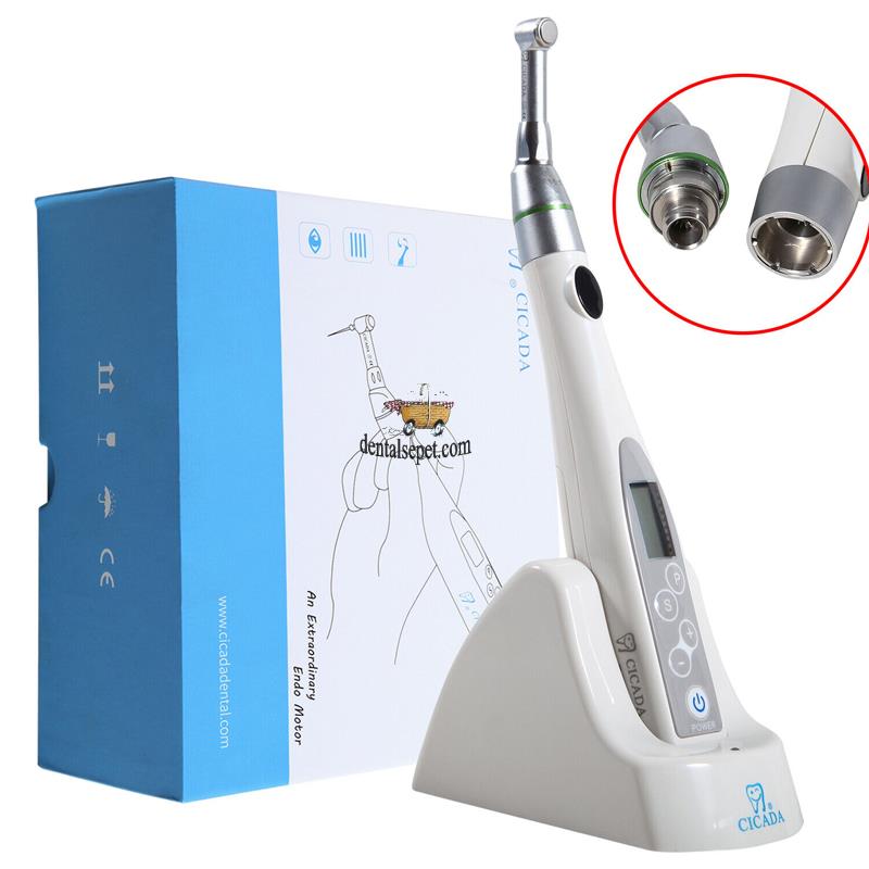 Endo Motor T-Fine-II - Cicada