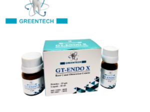 GT-ENDO X