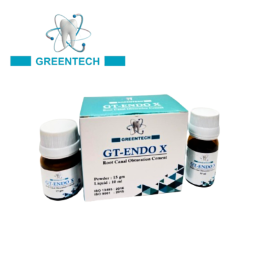 GT-ENDO X